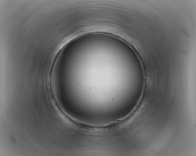 X0000115481521200911061207