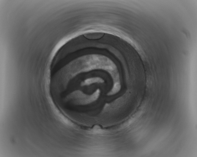 X0000115481522200911061207