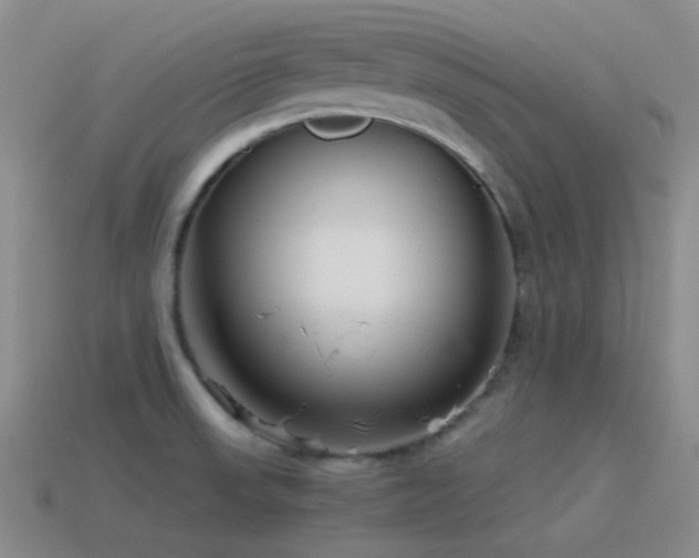 X0000115481523200911061207
