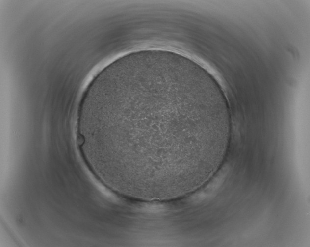 X0000115481525200911061207