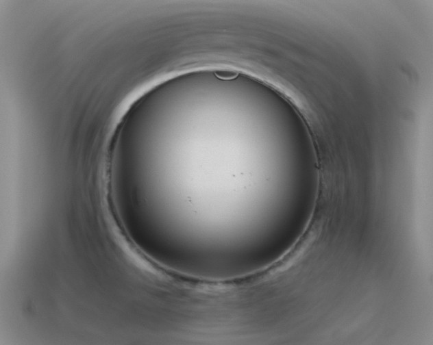 X0000115481526200911061207