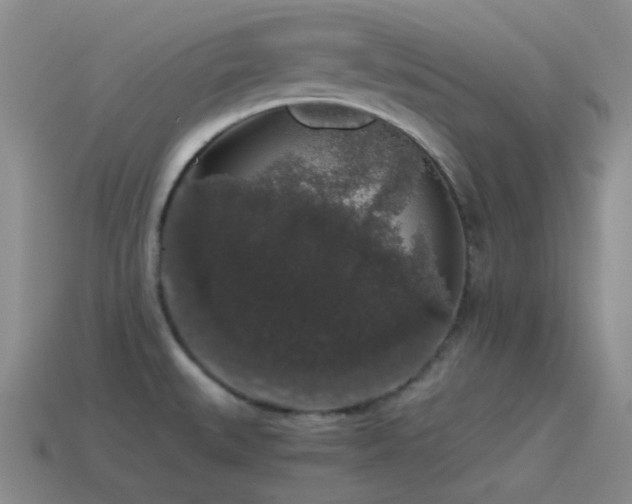 X0000115481527200911061207