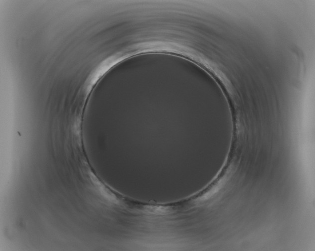 X0000115481529200911061207