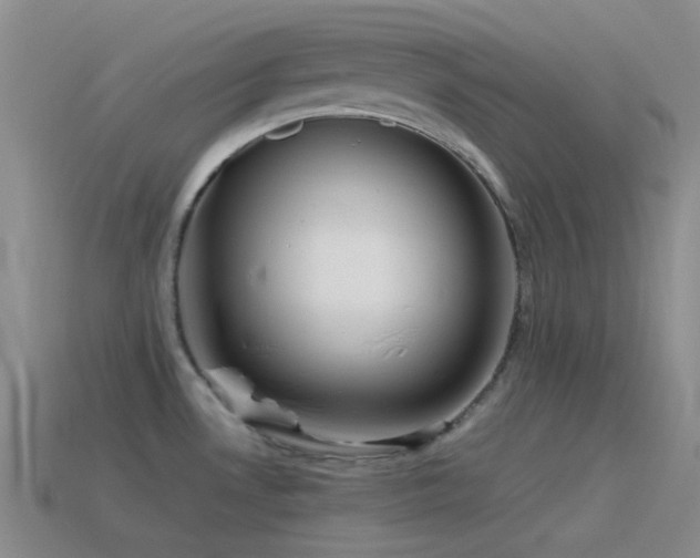 X0000115481530200911061207