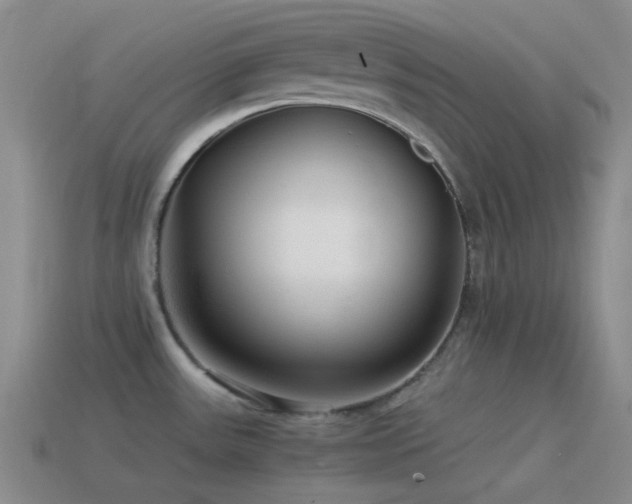 X0000115481531200911061207