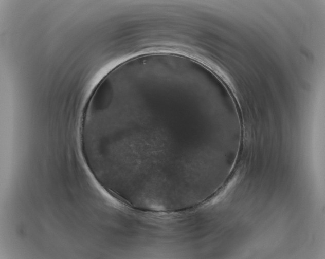 X0000115481533200911061207