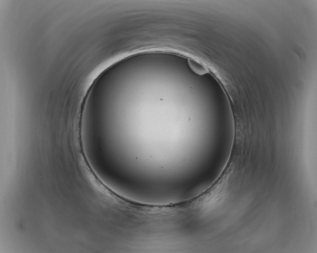 X0000115481534200911061207