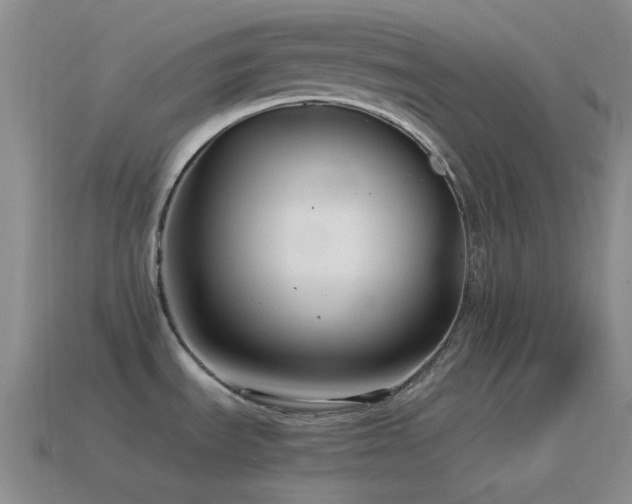 X0000115481535200911061207