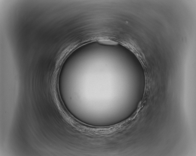 X0000115480001200911131225