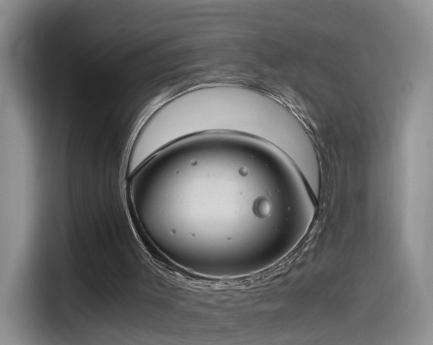 X0000115480003200911131225