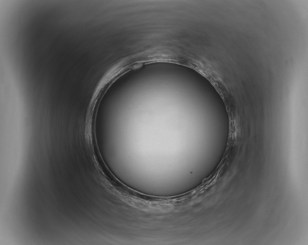 X0000115480004200911131225