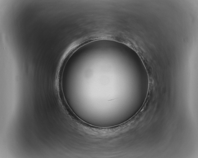 X0000115480006200911131225