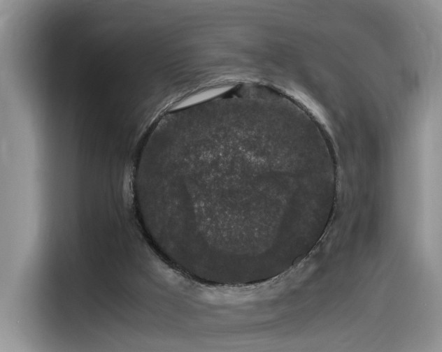 X0000115480009200911131225