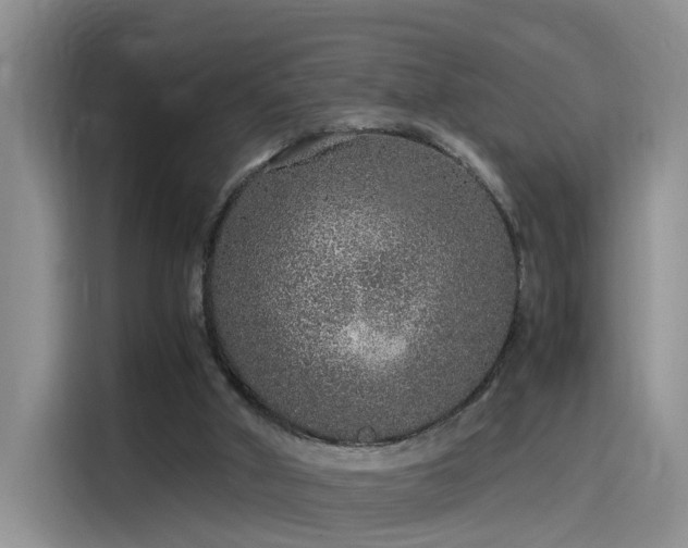 X0000115480010200911131225