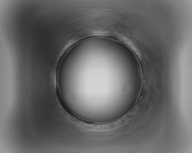 X0000115480011200911131225