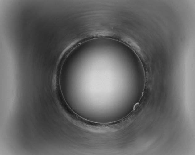 X0000115480012200911131225