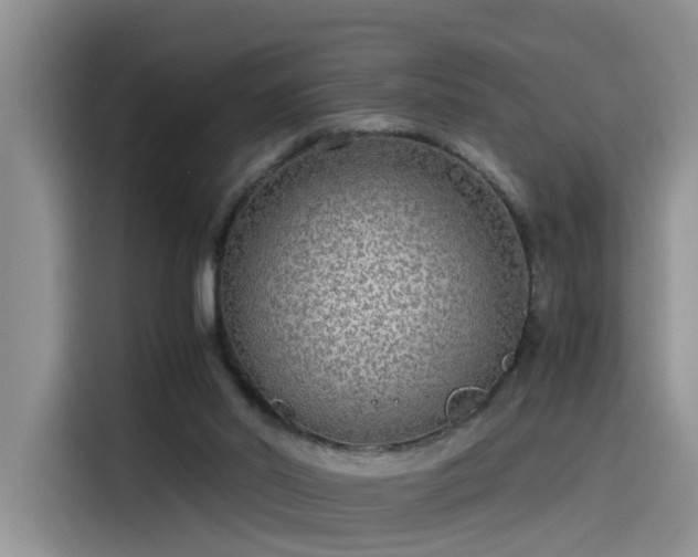 X0000115480014200911131224