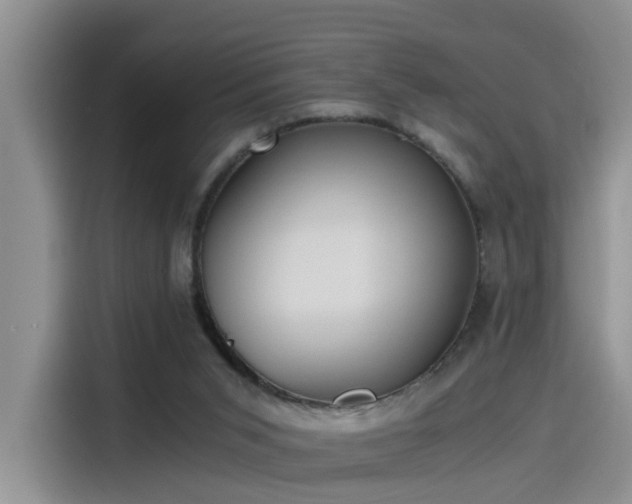 X0000115480015200911131224