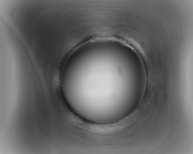 X0000115480017200911131224