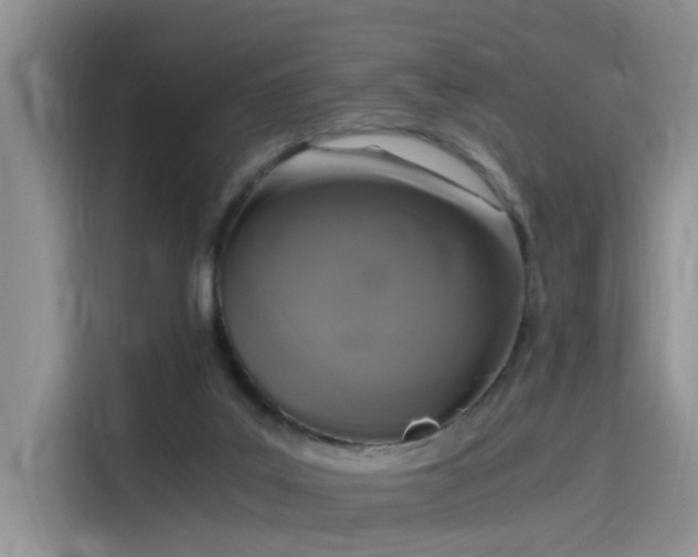 X0000115480019200911131224