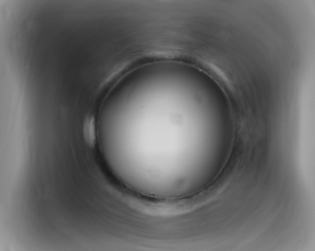 X0000115480020200911131224