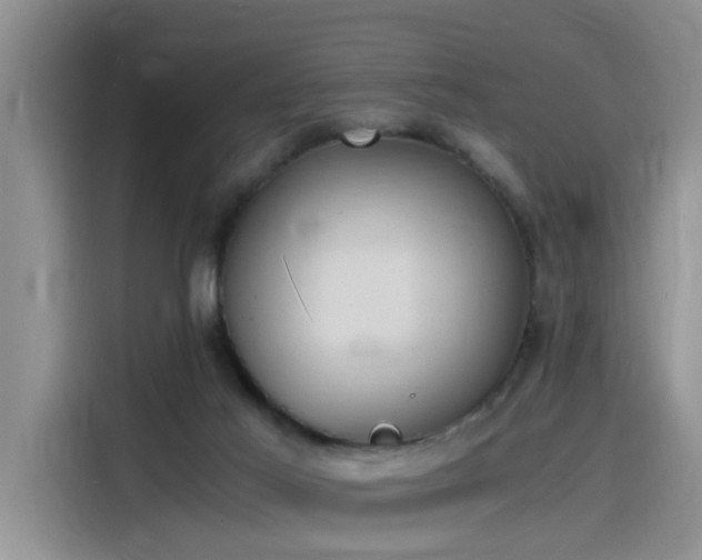 X0000115480021200911131224