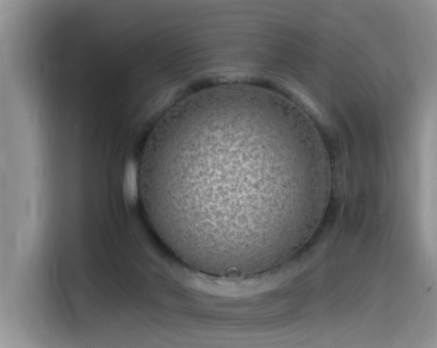 X0000115480022200911131224