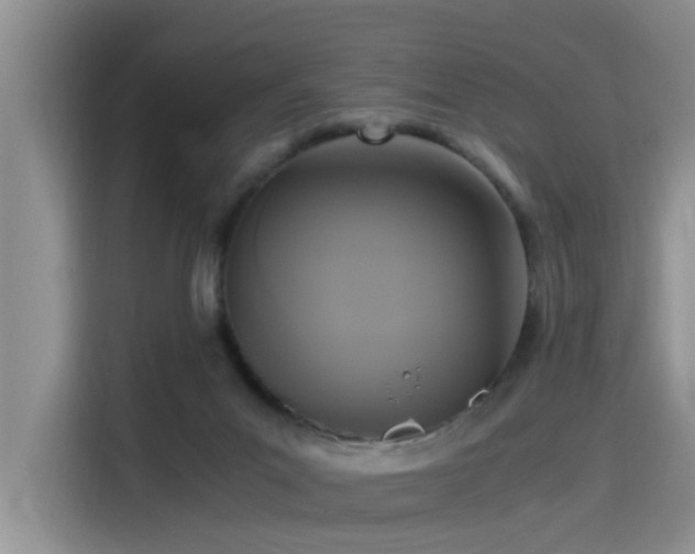 X0000115480023200911131224