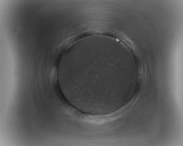 X0000115480029200911131224