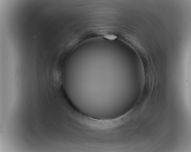 X0000115480031200911131224