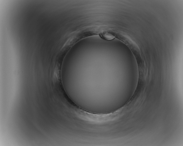 X0000115480035200911131224