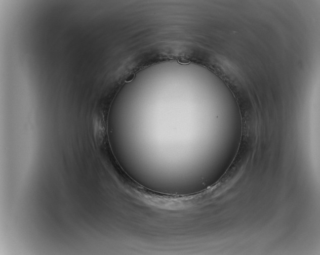 X0000115480040200911131224