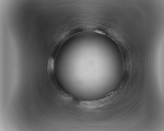 X0000115480041200911131224