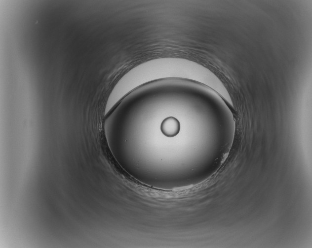 X0000115480043200911131224