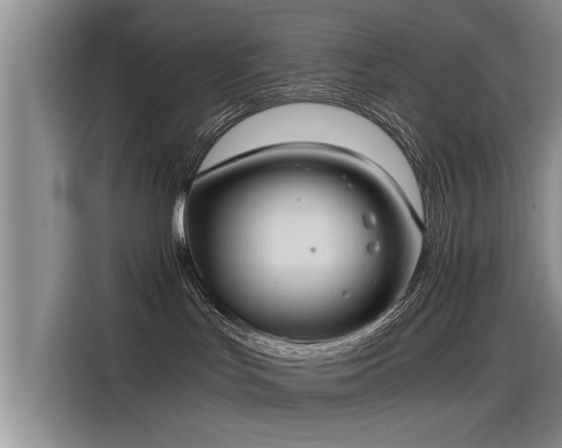 X0000115480047200911131224