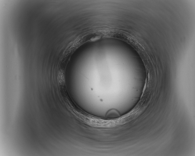 X0000115480048200911131224