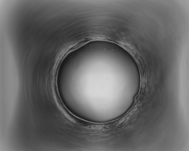 X0000115480049200911131223