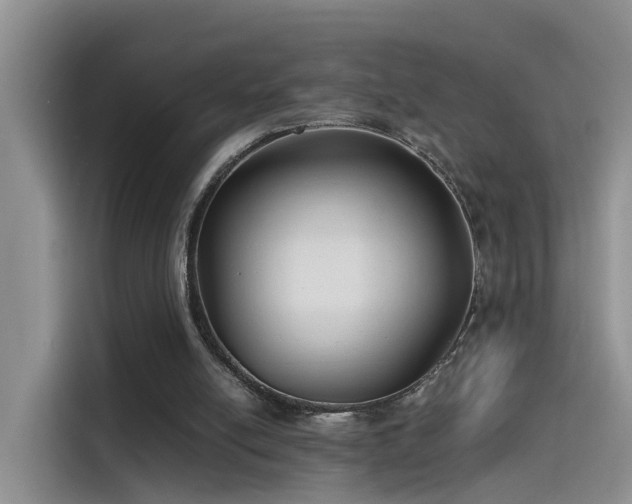 X0000115480054200911131223