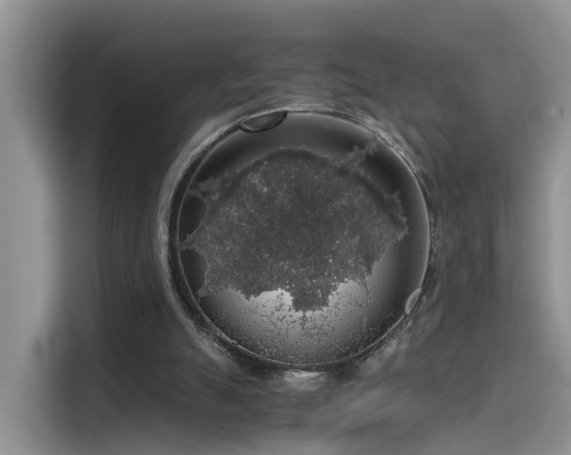 X0000115480055200911131223