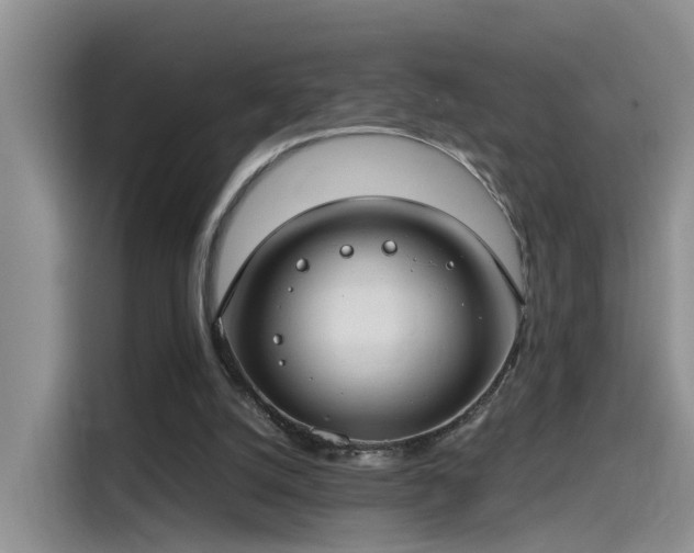 X0000115480056200911131224