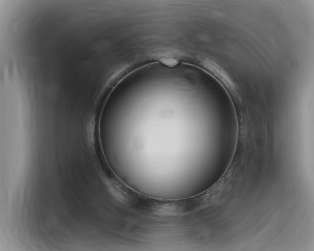 X0000115480058200911131224