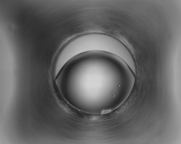 X0000115480060200911131224