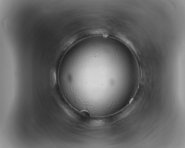 X0000115480061200911131224