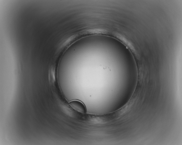 X0000115480062200911131224