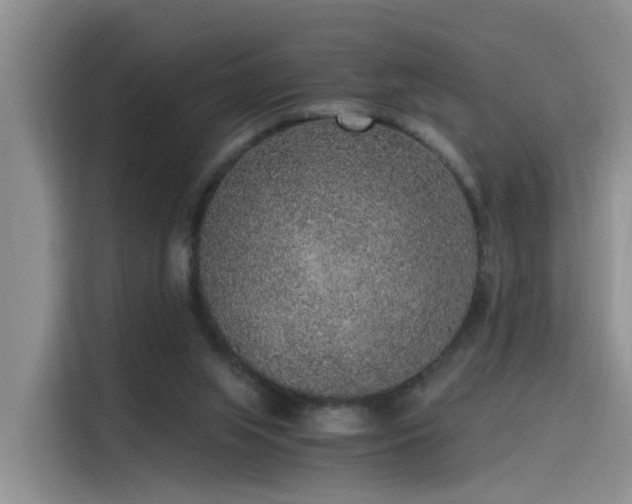 X0000115480063200911131224