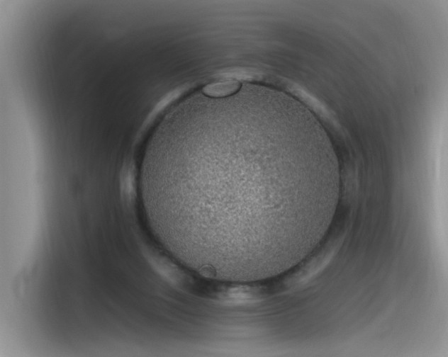 X0000115480064200911131224