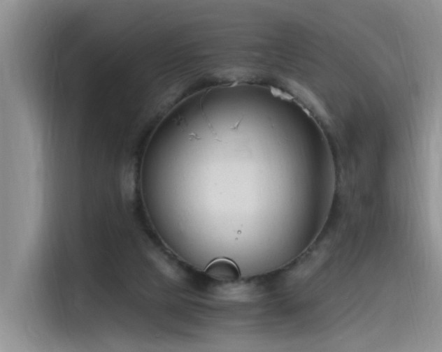 X0000115480065200911131224