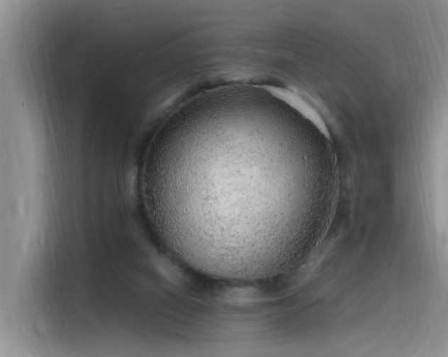 X0000115480066200911131224