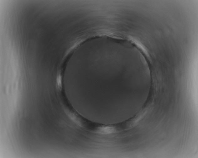 X0000115480067200911131224