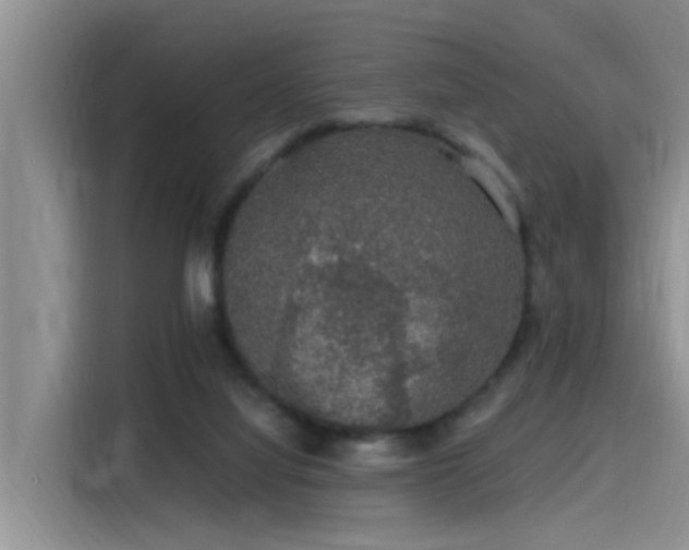 X0000115480068200911131224